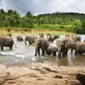 Езерото Маниара (Manyara Lake)